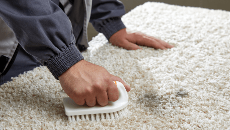 Professional Rug Cleaning Toolern Vale